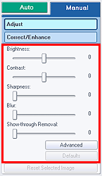 figure: Adjust of the Manual tab