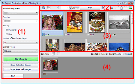 figure: Import Photos from Photo Sharing Sites window