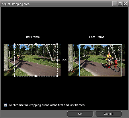 figure: Adjust Cropping Area window