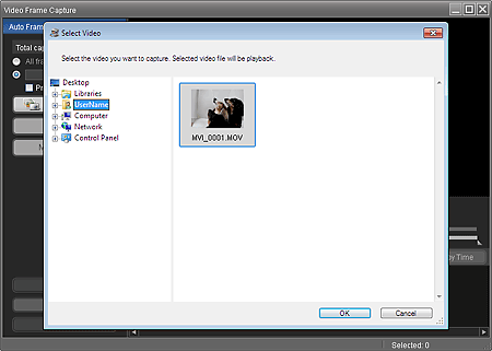 figure: Video Frame Capture window and Select Video dialog box