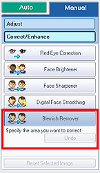 figure: Blemish Remover of the Manual tab