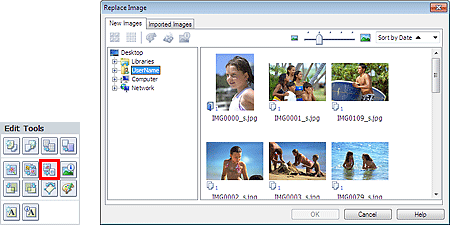 figure: Replace Image dialog box