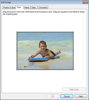figure: Crop tab in the Edit Image dialog box
