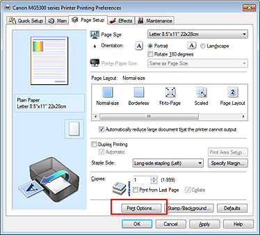 figure:Print Options... on the Page Setup tab