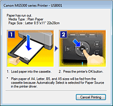 figure:Canon IJ Status Monitor Error display
