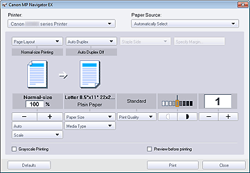 figure: Print Document dialog box