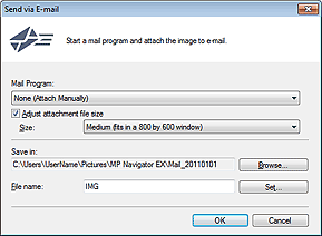 figure: Send via E-mail dialog box