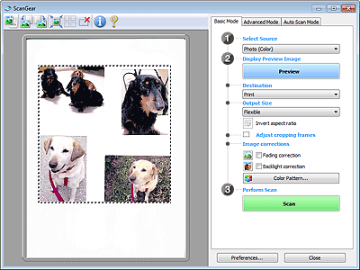 figure: Basic Mode tab