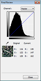 figure: Final Review dialog box
