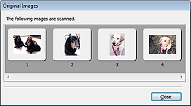 figure: Original Images dialog box