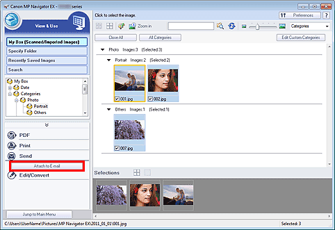 figure: View & Use window