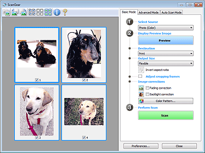 figure: Preview in Basic Mode tab