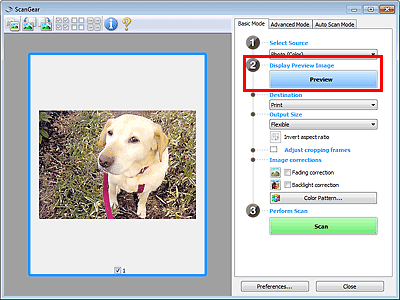 figure: Basic Mode tab