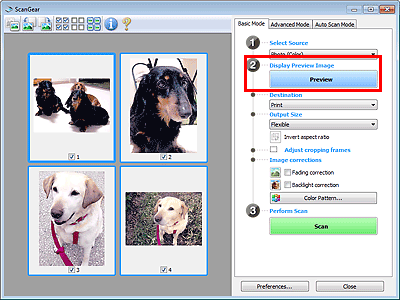 figure: Basic Mode tab