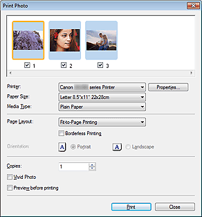 figure: Print Photo dialog box
