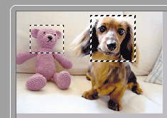 figure: Whole image view