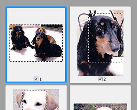 figure: Thumbnail view