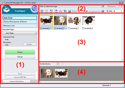figure: Auto Scan screen (Scan/Import window)
