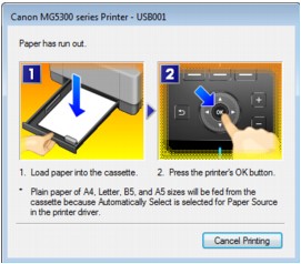 figure: Error message in Windows