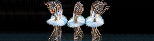 Company Dancers header