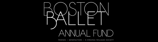 BB ANNUAL FUND BB ANNUAL FUND